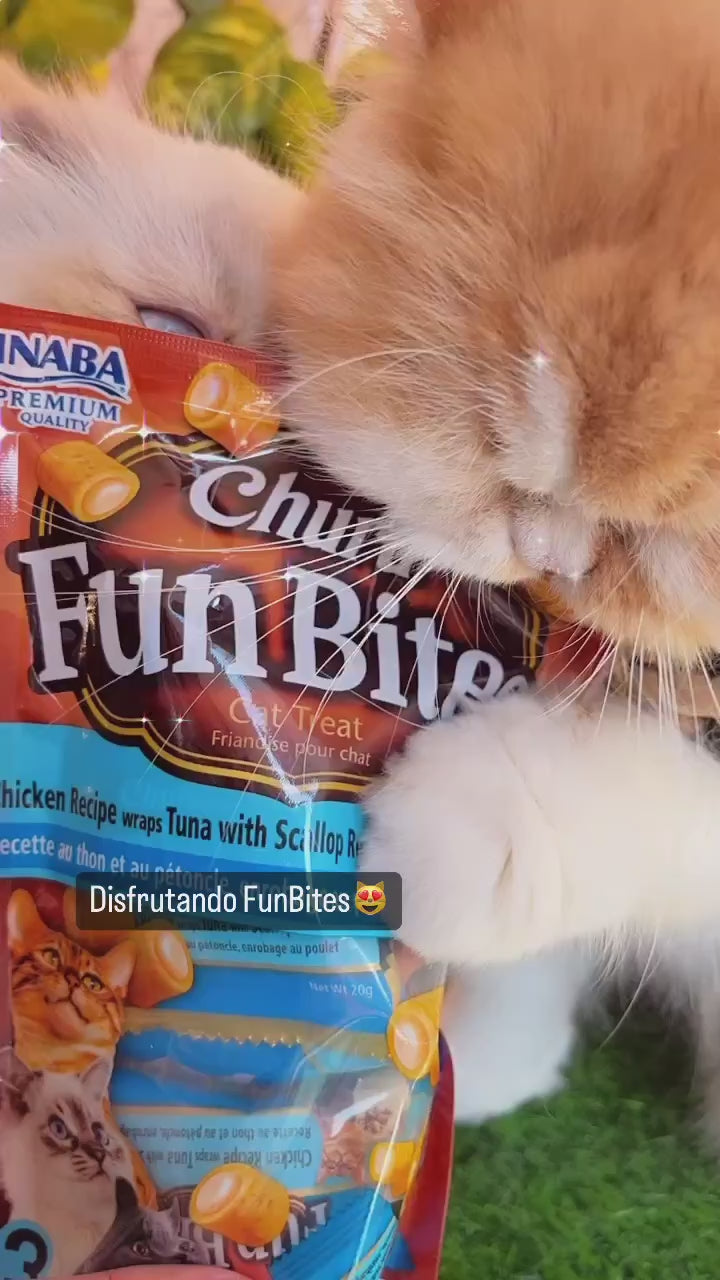 Churu Fun Bites para gatos: receta de atún con ostión, presentación del envase, apertura del sobre y consumo del premio.
