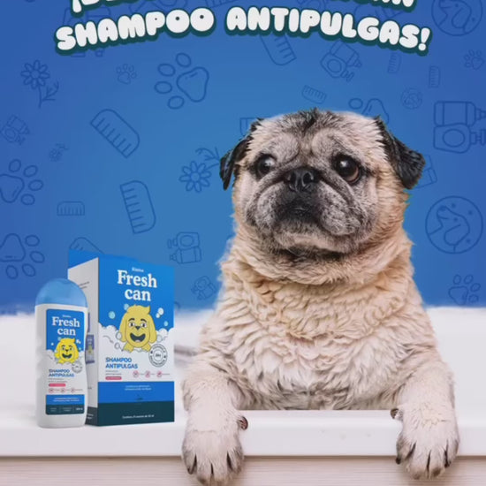Descubre Fresh Can Antipulgas. Vídeo oficial en español.