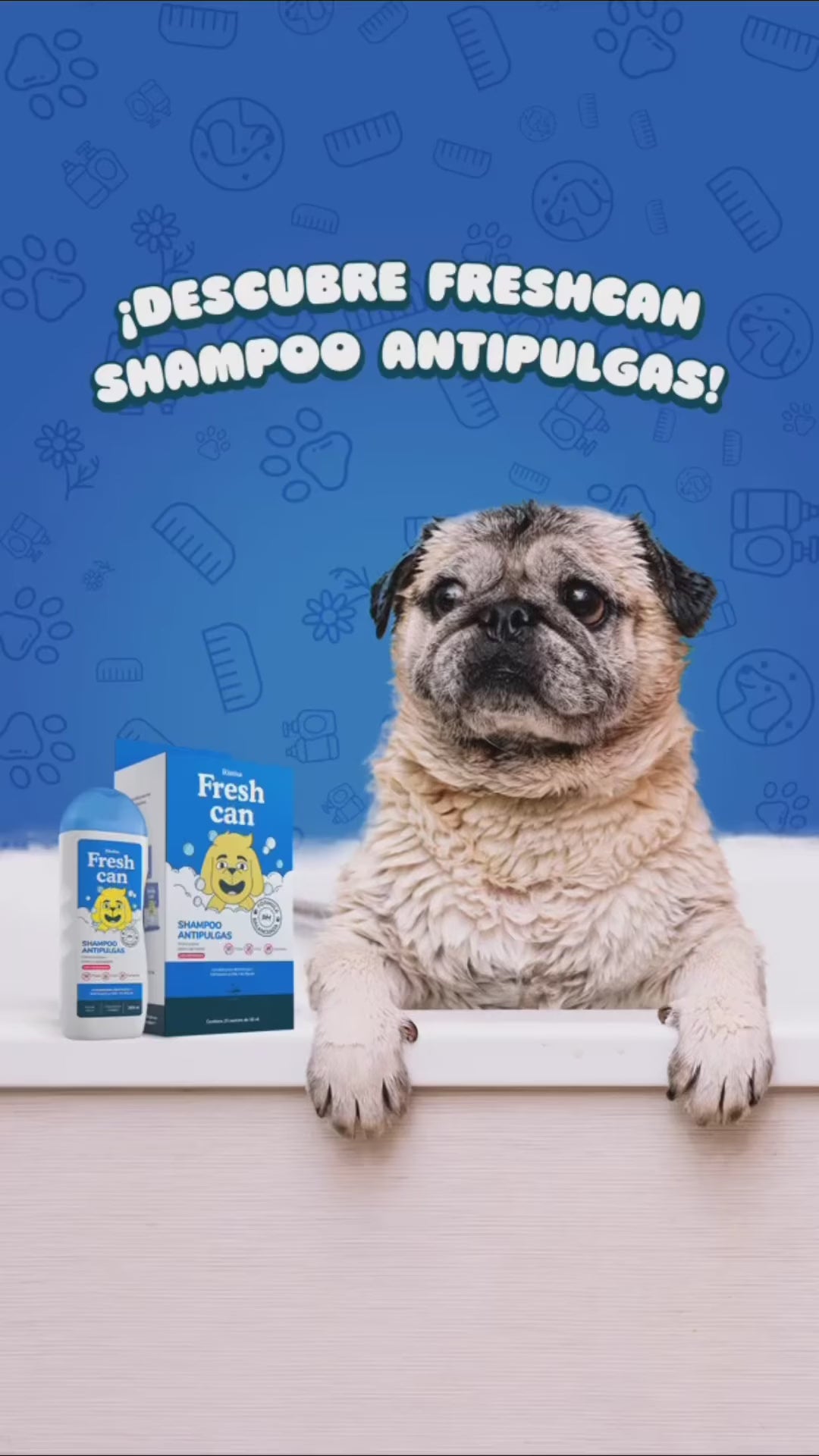 Descubre Fresh Can Antipulgas. Vídeo oficial en español.