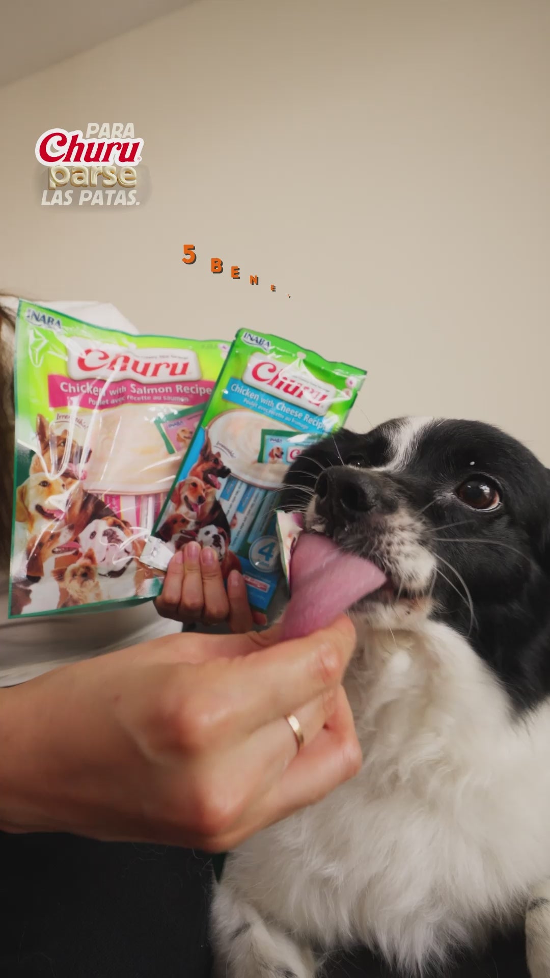 Churu Dog para perros: vídeo de la familia con demostración del premio cremoso y beneficios explicados en español.