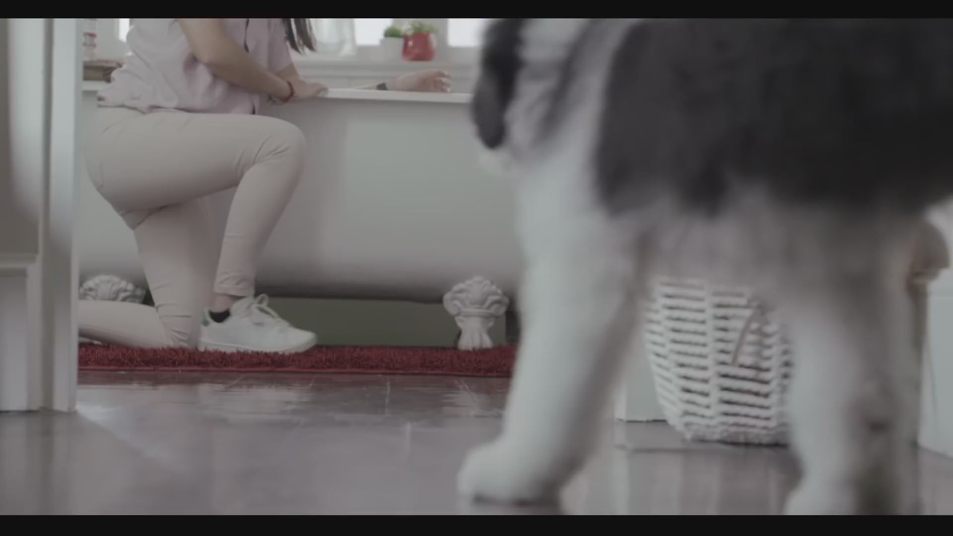 Ricocan Shampoo Cachorros, con fórmula hipoalergénica