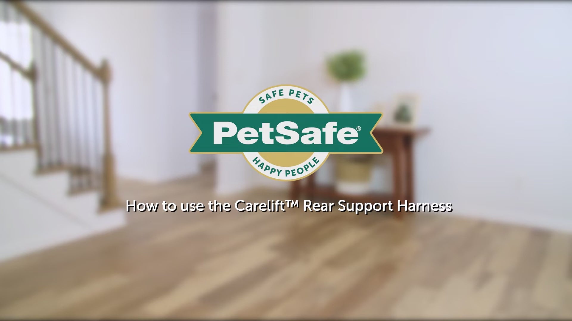 How to use the CareLift™ Rear Support Harness
