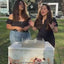Reto de aglomeración y limpieza con America Litter Quick Clumping. Vídeo con explicación en español.