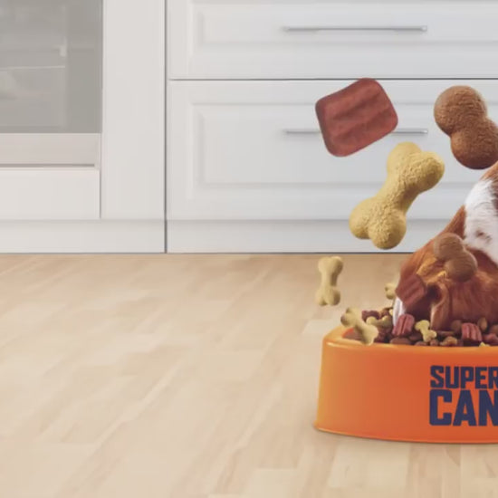 No hay perro que se resista al sabor de Supercan