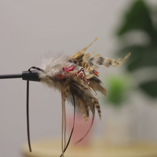 GiGwi Feather Teaser: varillas con plumas y cola de felpa, demostración de juego para gatos.