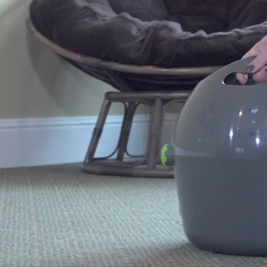 PetSafe—Automatic Ball Launcher
