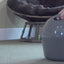 PetSafe—Automatic Ball Launcher
