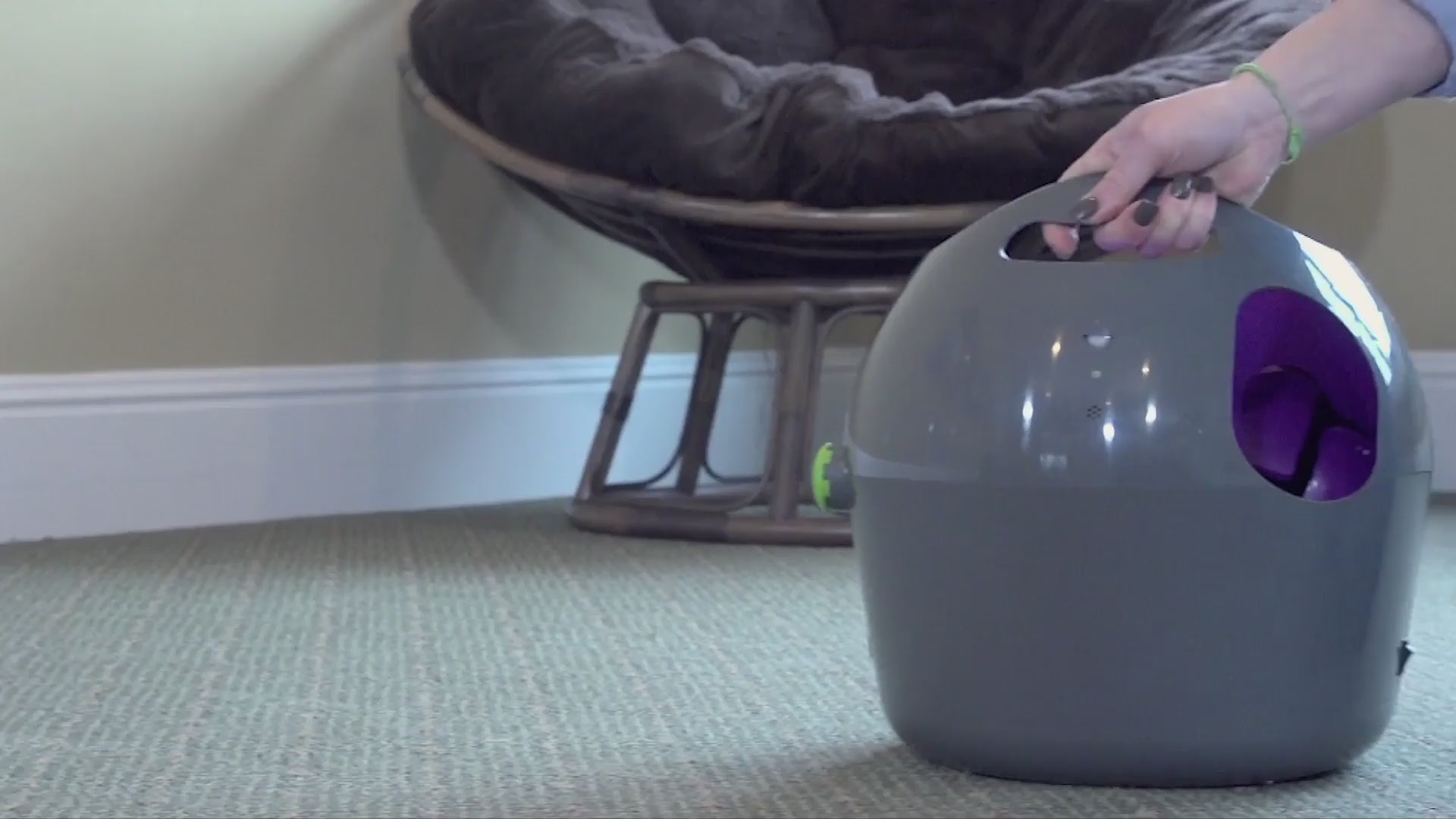 PetSafe—Automatic Ball Launcher