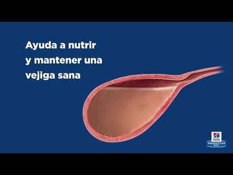 Hill's Prescription Diet c/d Multicare + Metabolic (gato, estofado) · video oficial de Hill's Pet Nutrition España
