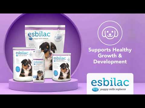 Pet-Ag | Esbilac Powder For Puppies