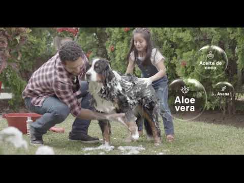 Ricocan | Shampoo 4 en 1 para perros adultos