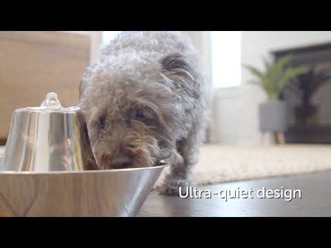 Seaside Stainless Pet Fountain