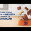 Supercan | Adultos todas las razas sabor cordero