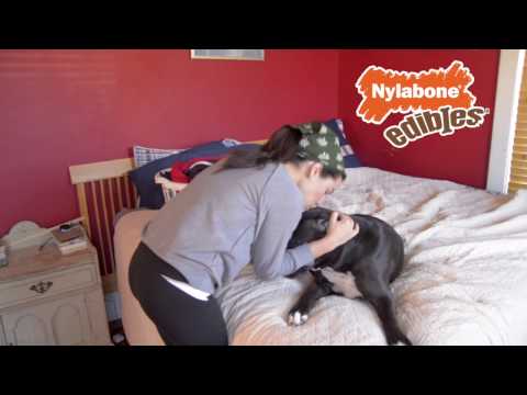 Nylabone | Healthy Edibles Longer Lasting Roast Beef