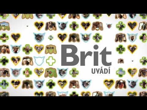 Brit Care Hypoallergenic Adult Small Breed · video oficial de BRIT PetFood