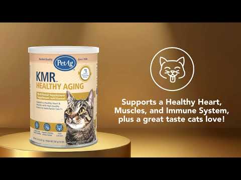 KMR™ Healthy Aging - video oficial de PetAg
