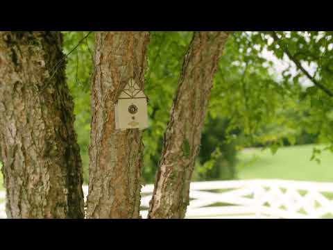 Outdoor Bark Control