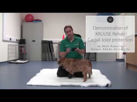 Kruuse Rehab protector carpiano · video oficial de KRUUSE