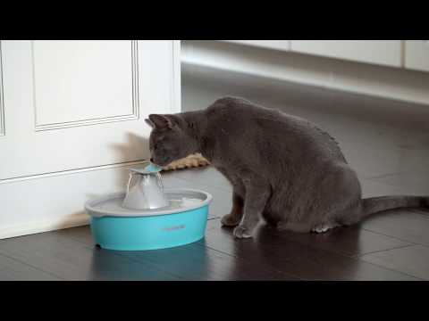 Drinkwell® Butterfly Pet Fountain