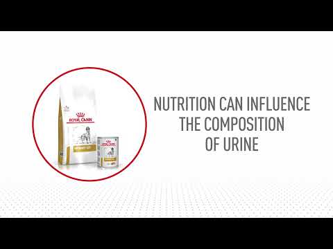 Royal Canin Urinary S/O lata para perros · video oficial de Royal Canin Australia and New Zealand
