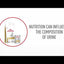 Royal Canin Urinary S/O lata para perros · video oficial de Royal Canin Australia and New Zealand