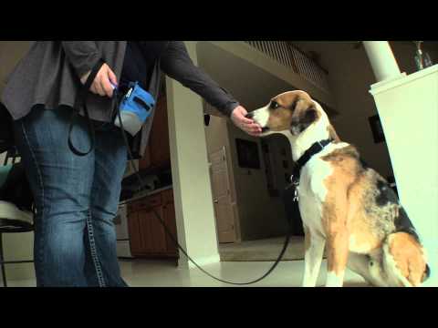 Clik-R™ Training Tool
