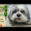 Nylabone | Nutri Dent Filet Mignon