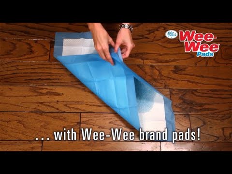 Four Paws Wee-Wee Superior Performance · video oficial de Four Paws, Magic Coat, and Wee-Wee pet products