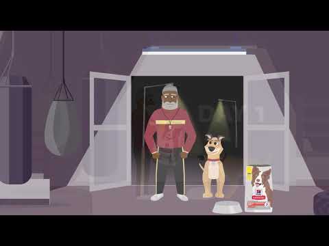 Hill's Science Diet Adult Perfect Digestion Chicken, Vegetable & Rice Stew, alimento húmedo para perros adultos · video oficial de OfficialHillsPet