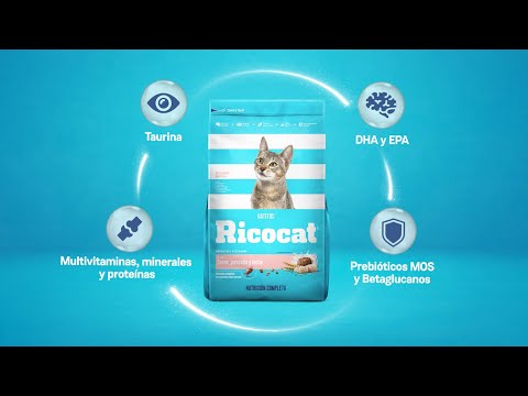 Ricocat | Gatitos sabor carne, pescado y leche