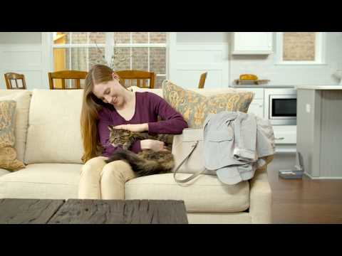 Automatic 2 Meal Pet Feeder