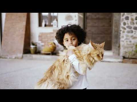 Monge Gift Soft Sticks Dental conejo y salvia · video oficial de Monge
