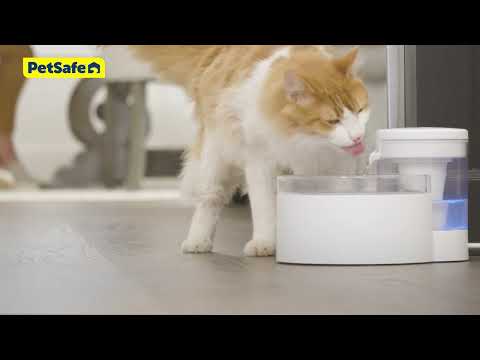 Outlast™ Pet Fountain