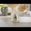 Outlast™ Pet Fountain
