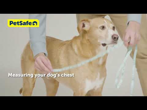 Easy Walk® Harness, No Pull Dog Harness