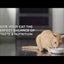 Hill's Science Diet Adult Urinary Hairball Control, alimento húmedo para gatos adultos · video oficial de Hill's Pet Nutrition Australia and New Zealand