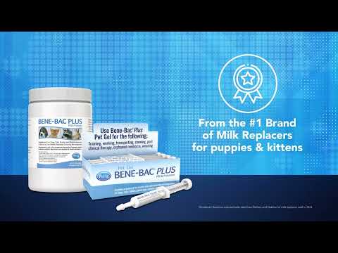 Pet-Ag | BENE-BAC 15 GR - x 12 UN