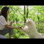 Monge Gift Sticks Mobility Support trucha · video oficial de Monge