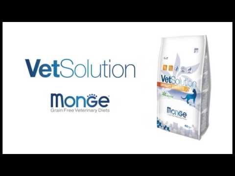 Monge VetSolution Dermatosis Feline seco · video oficial de Monge