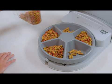 5 Meal Pet Feeder
