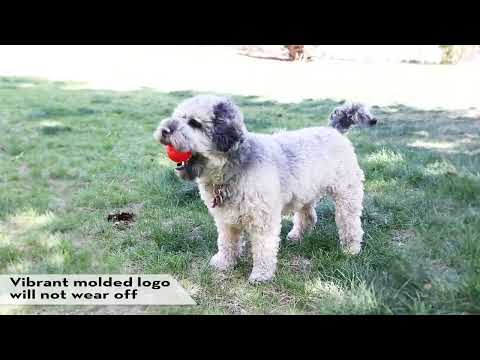 KONG Signature Ball — vídeo oficial
