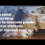 Hill's Prescription Diet i/d estofado de pollo y vegetales (perro) · video oficial de Hill's Pet Nutrition España