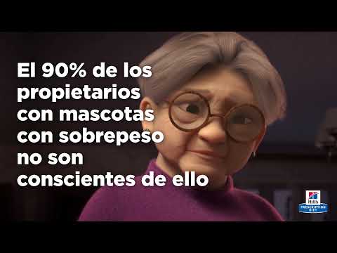Hill's Prescription Diet Metabolic (gato, estofado) · video oficial de Hill's Pet Nutrition España