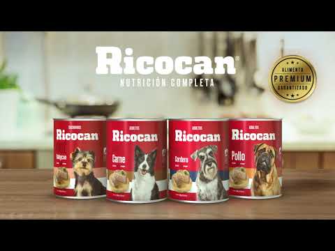 Ricocan | Paté sabor carne, adultos (lata)