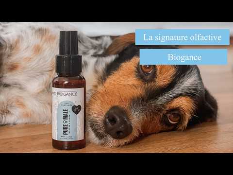 Biogance Parisian perfume para mascotas · video oficial de BIOGANCE OFFICIEL (línea de perfumes)
