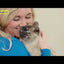 Viva™ Pet Fountain