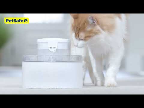 Outlast™ Pet Fountain