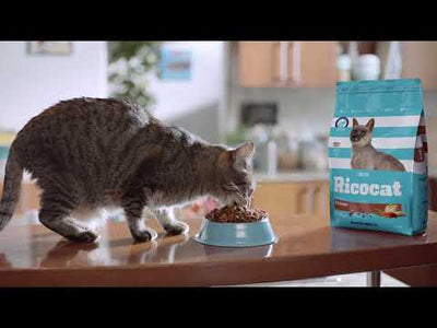 Ricocat | Paté esterilizados, gatos adultos (lata)