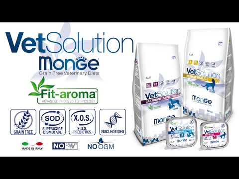 Monge VetSolution Dermatosis Canine húmedo · video oficial de Monge