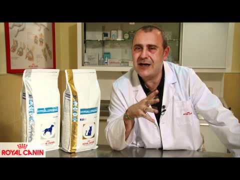 Royal Canin Hypoallergenic lata para perros · video oficial de Royal Canin España